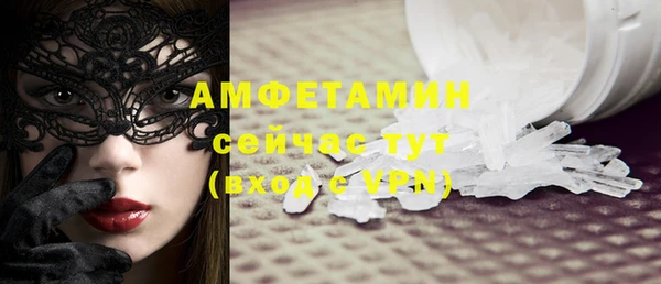 шишки Абаза