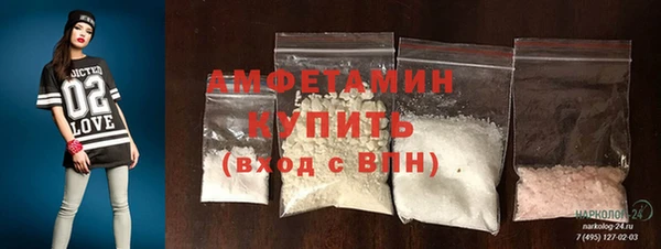шишки Абаза
