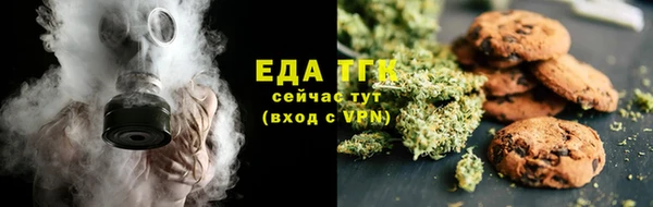 шишки Абаза