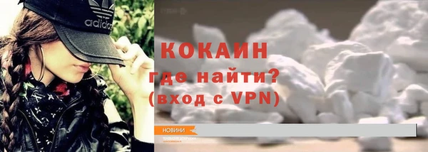 шишки Абаза