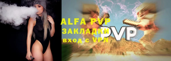 шишки Абаза