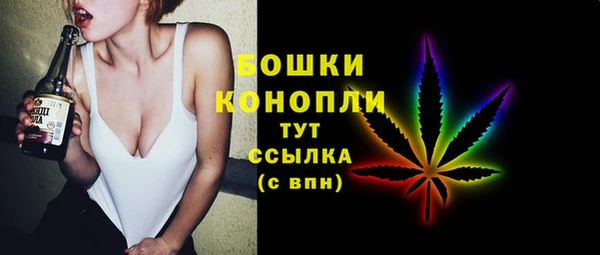 шишки Абаза