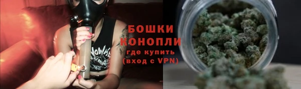 шишки Абаза