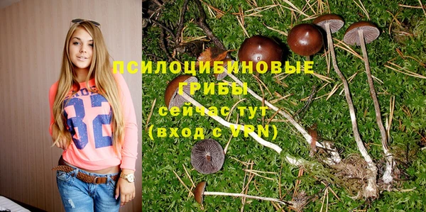 соль ск Абдулино