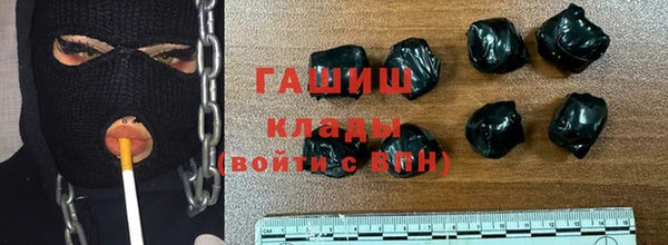 шишки Абаза