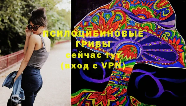 соль ск Абдулино