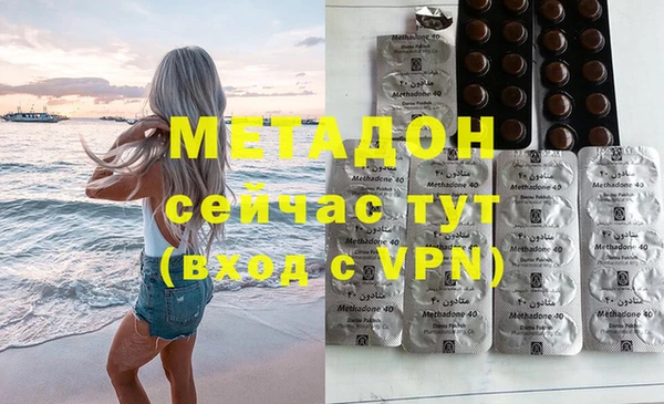 шишки Абаза